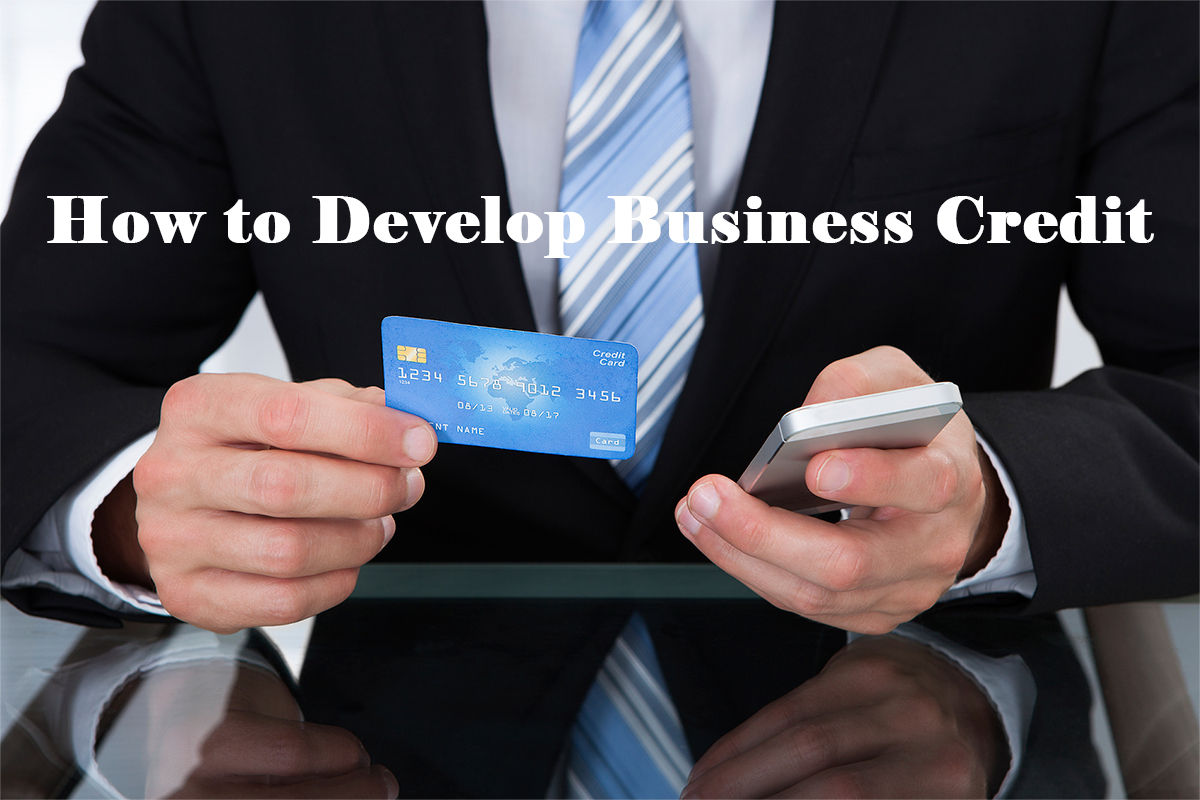 Business credit options for LLC